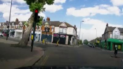 News: Moment tree almost falls on pedestrians