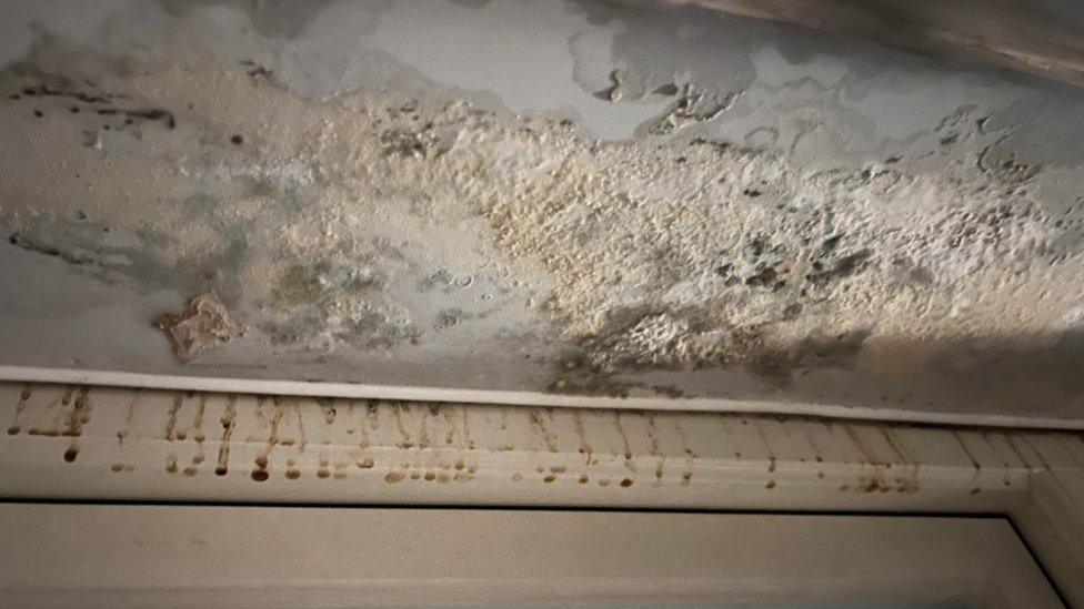 News: Mould and damp in home left young children in hospital