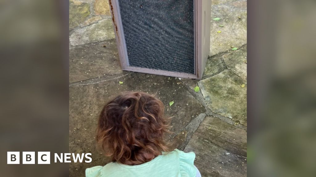 News: A little girl said monsters were in her bedroom. It was 60,000 bees