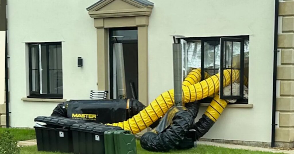 News: £320,000 newbuild home infested with beetles and mould