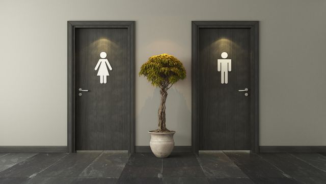 News: Failure to provide a toilet for the exclusive use of women = sex discrimination