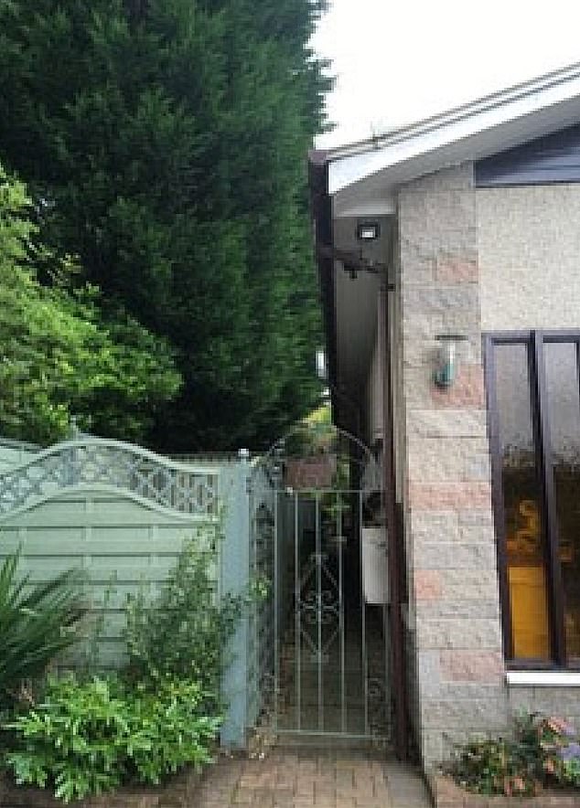 News: Leylandii row sees Scottish couple win battle to have neighbour’s trees chopped down