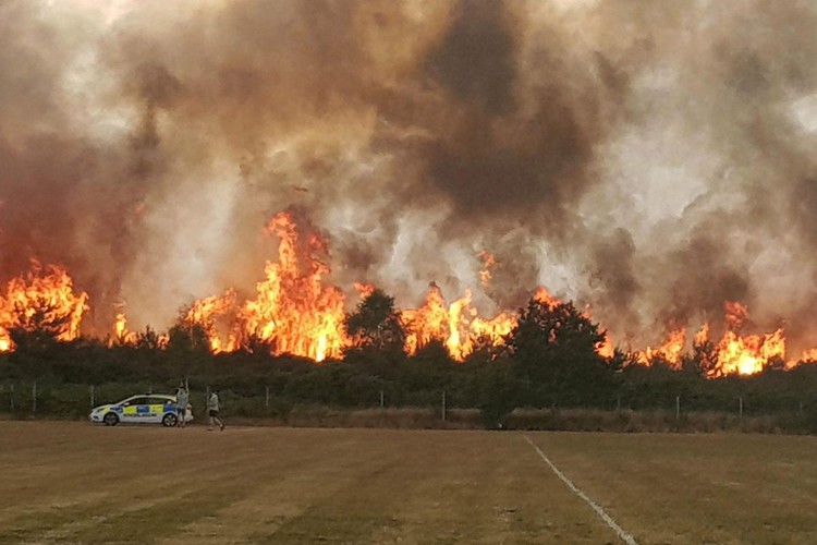 News: Wildfires ravage UK with homes ablaze after 50,000 lightning strikes