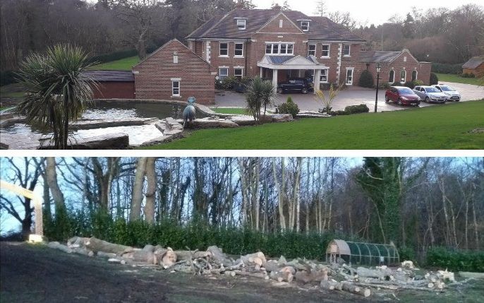 News: Businessman illegally raised value of home by chopping down protected trees