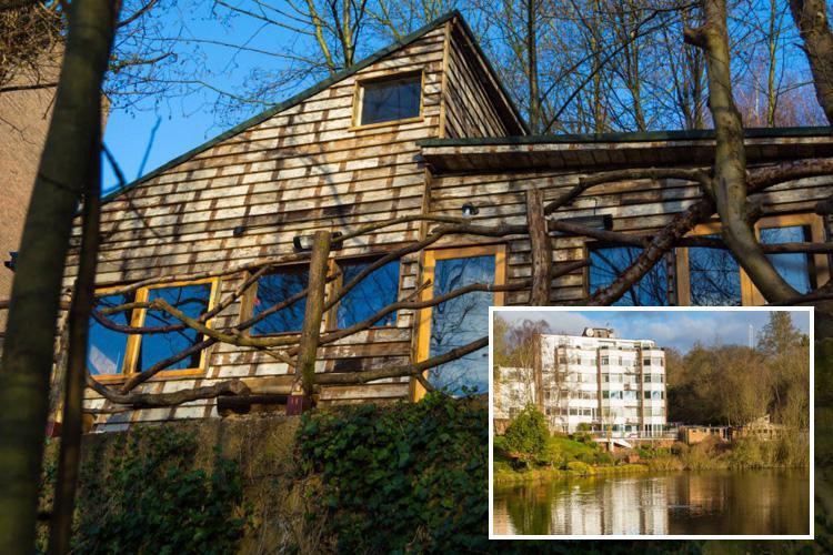 News: Woman must demolish her chalet home ‘worth £1m’ after building it with NO permission