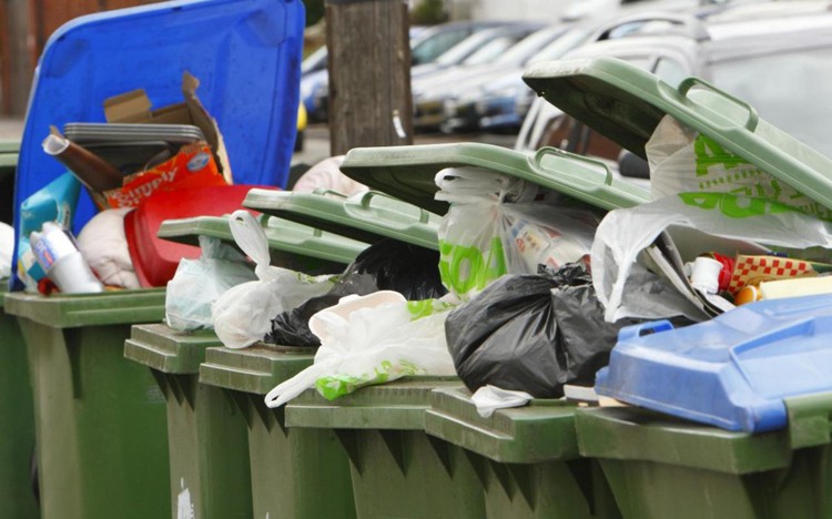 News: Householders who mistakenly put recycling in wrong bins should not be fined, Government tells councils