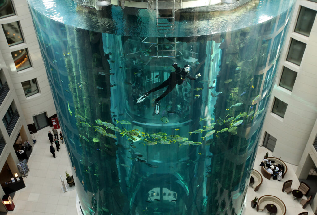 News: American team to help investigate massive aquarium break in Germany