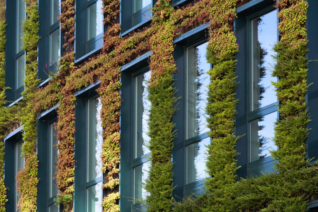 News: Green Walls Fire Safety Guidance
