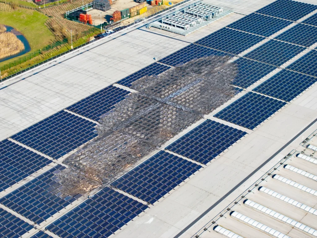 News: Lidl makes speedy recovery from solar panel fire at £70m Peterborough depot