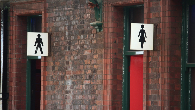 News: Gender-specific toilets to become mandatory in building regulations