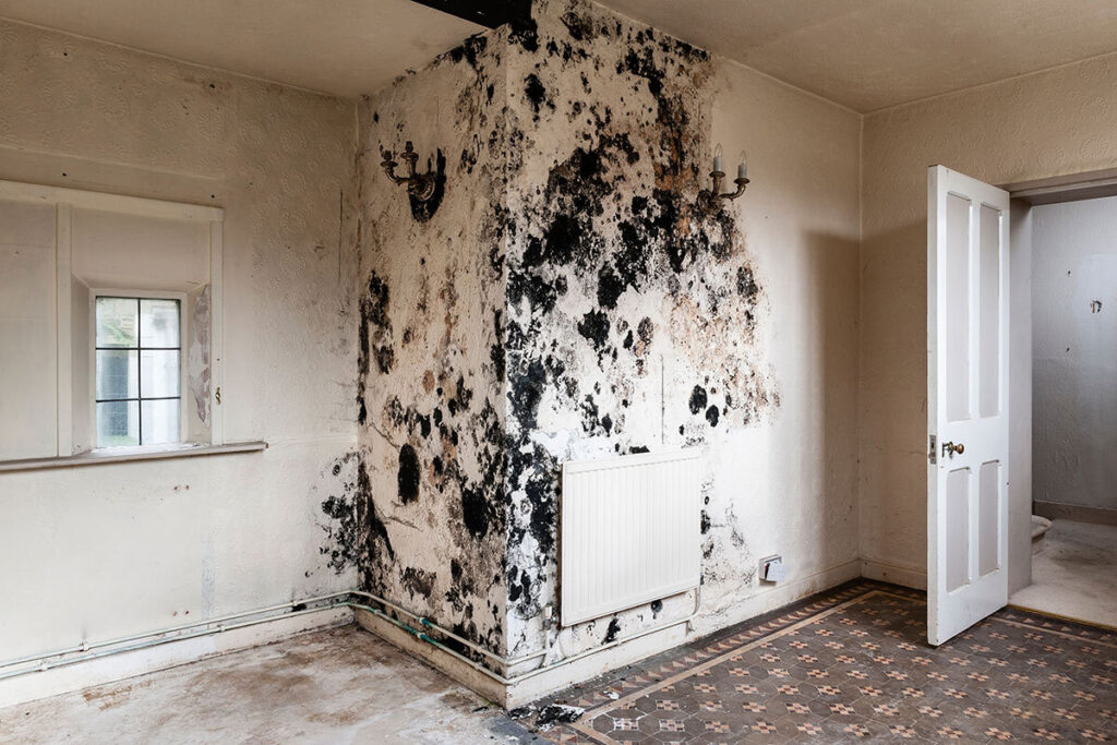 News: Major Welsh landlord sets out new damp and mould approach