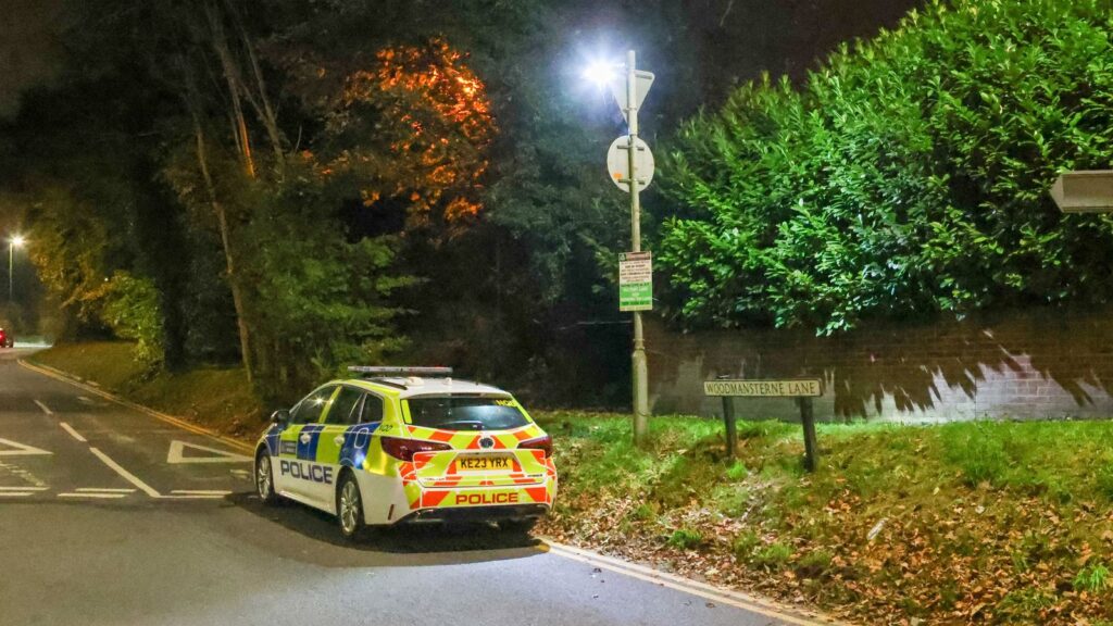 News: Banstead: Child dies after being hit by falling tree branch | UK News | Sky News