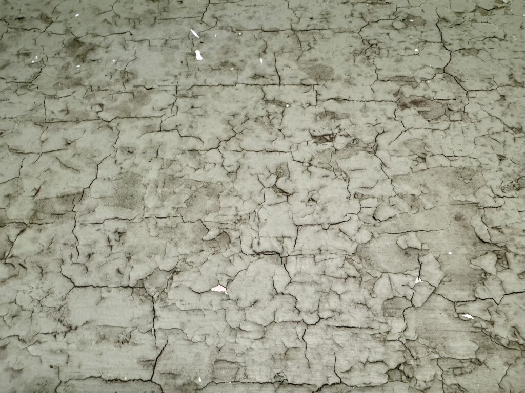 Image jd219dd1